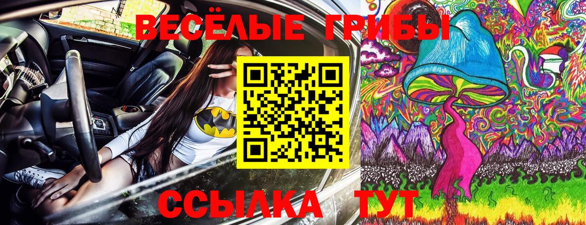 Псилоцибиновые грибы GOLDEN TEACHER Подольск