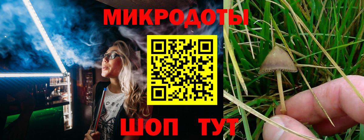 Подольск  купить наркоту  Вход с VPN  Галлюциногенные грибы Psilocybine cubensis 